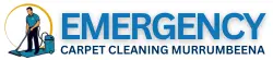 Emergency Carpet Cleaning Murrumbeena